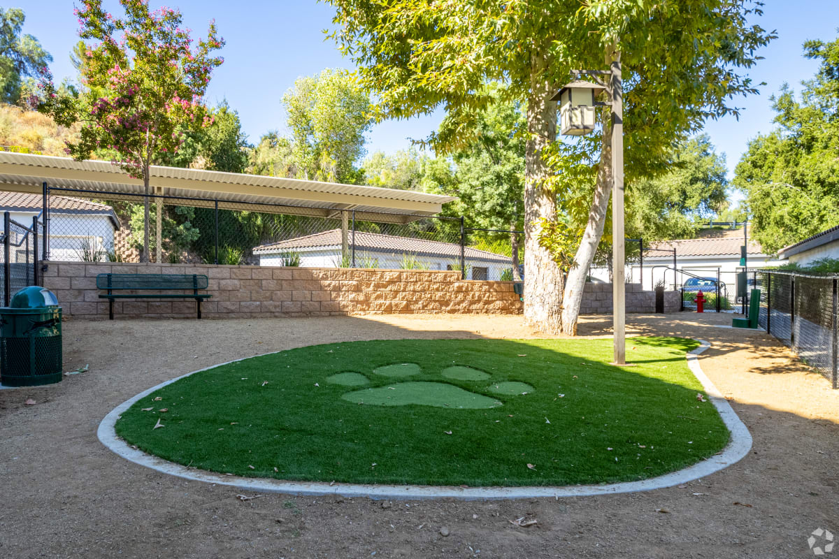 Riverside Apartments for Rent Near UCR Canyon Crest